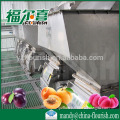 full automatic industrial apricot puree producing line
